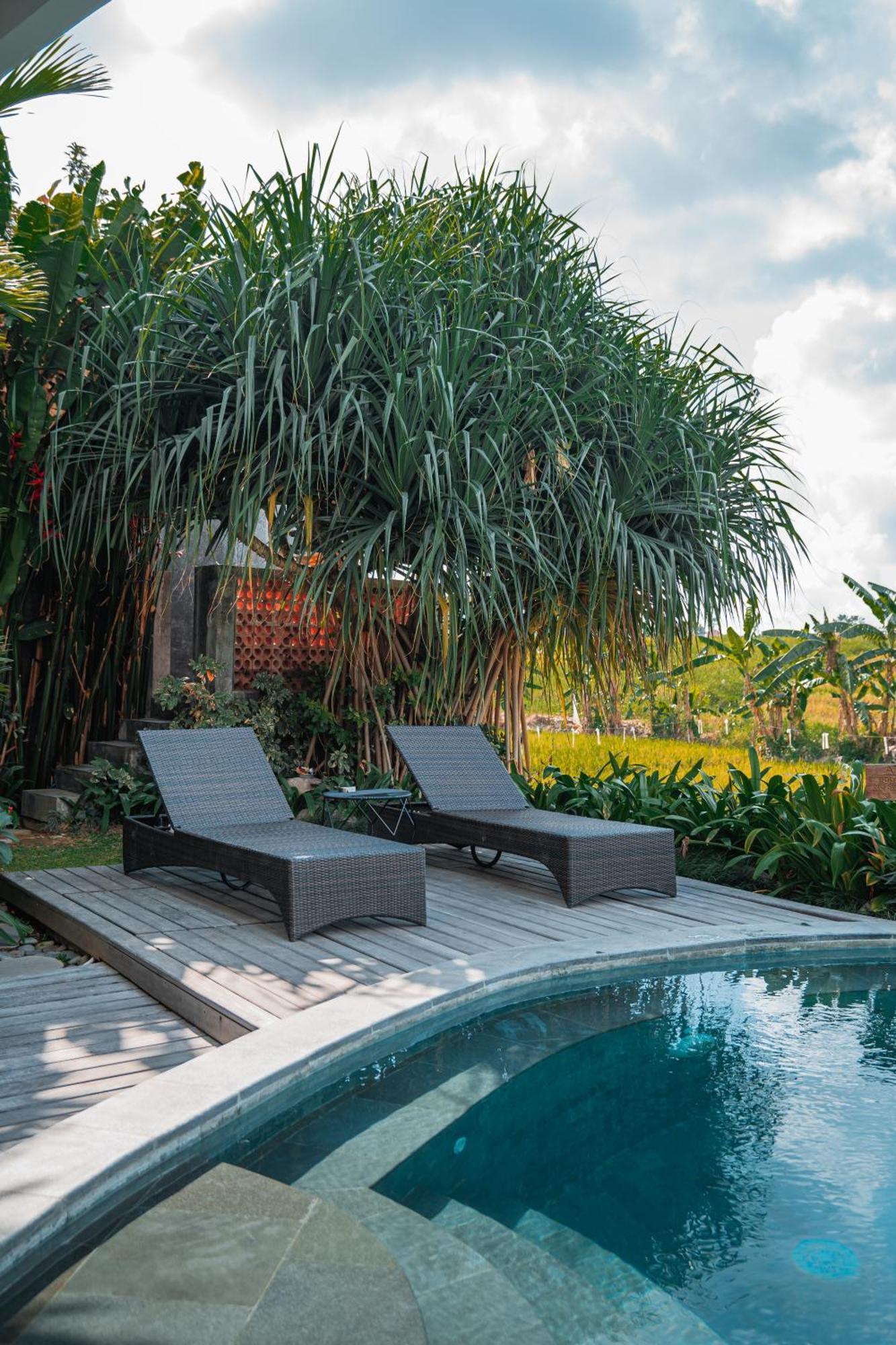 Mahalona Bali Stay ชังกู ภายนอก รูปภาพ